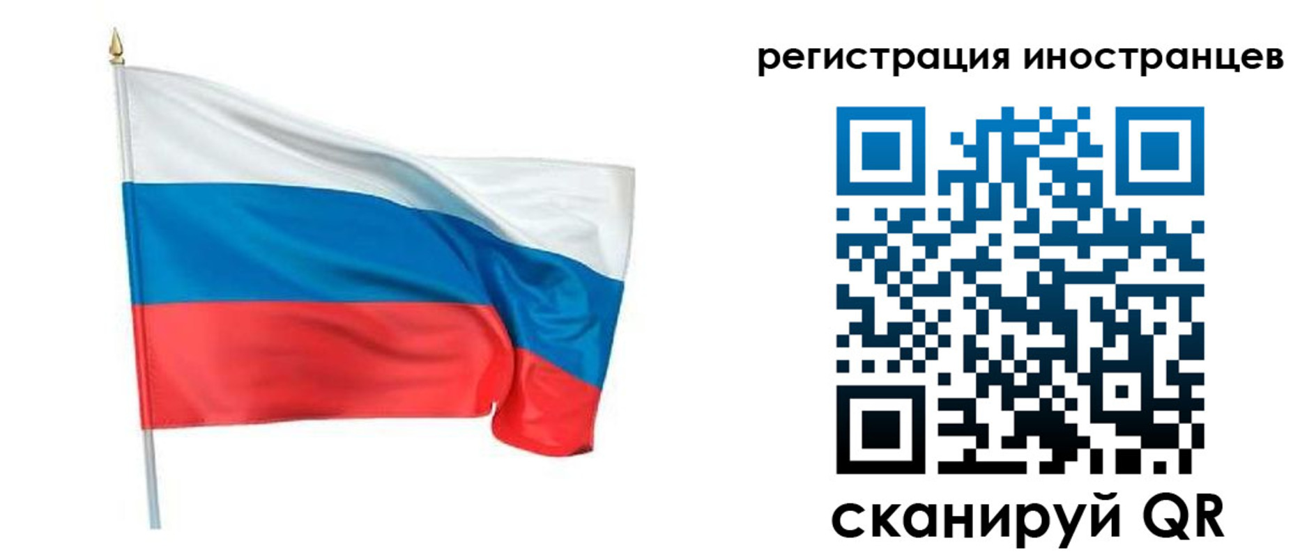 прописка 2025 в Кораблино